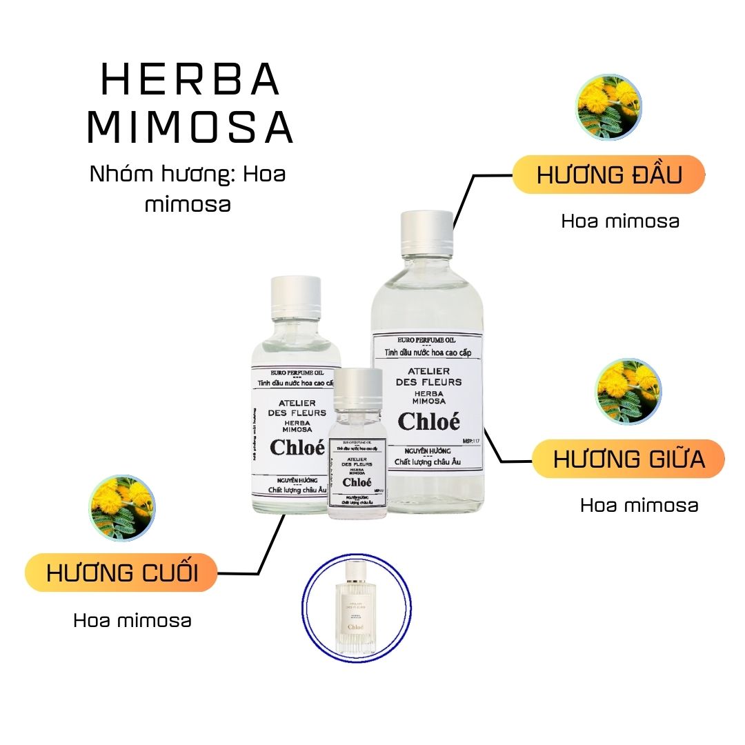 Tinh Dầu Nước Hoa Cao Cấp Herba Mimosa by Chloe 