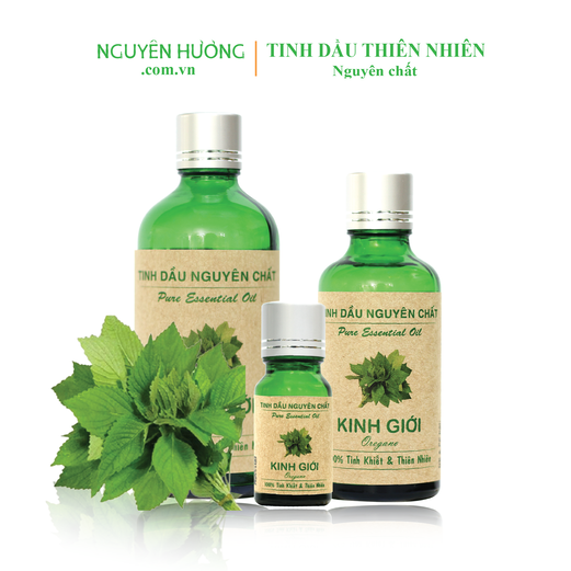 Tinh Dầu Kinh Giới Nguyên Hương