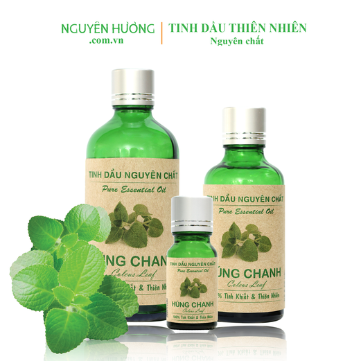 Tinh Dầu Húng Chanh Nguyên Hương