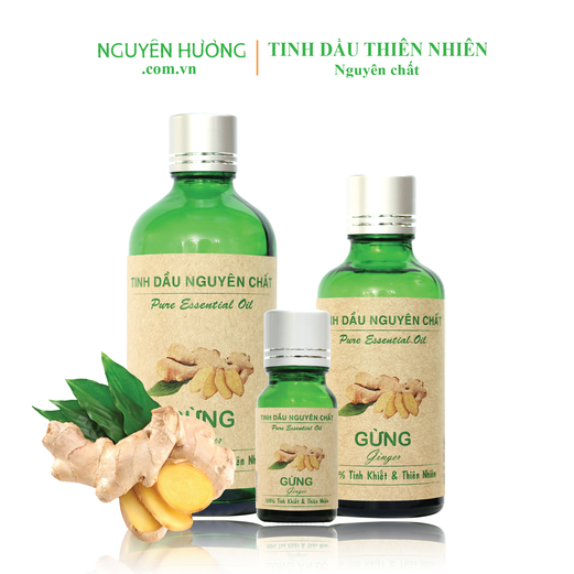 Tinh Dầu Gừng Việt Nguyên Hương